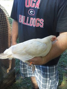 PH_BamBams_Wife_Dark